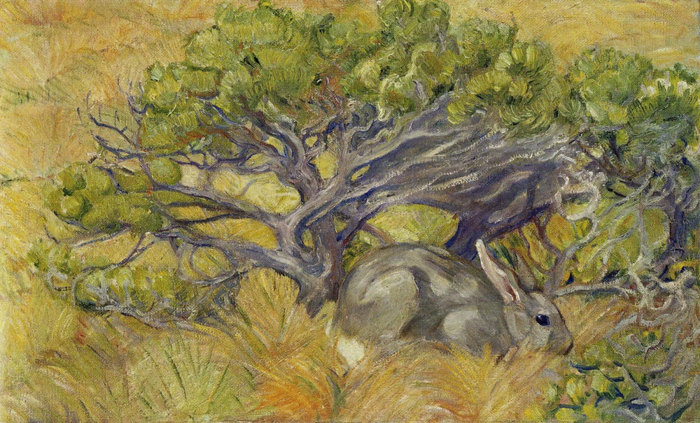 Coniglio selvatico, 1909 - Hessisches Landesmuseum Darmstadt